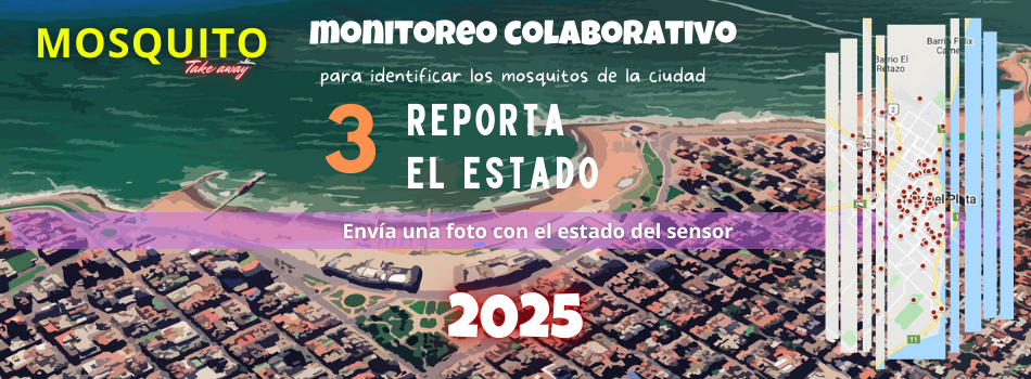 MOsquito Take Away Reporte del estado